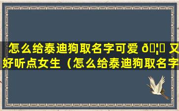 怎么给泰迪狗取名字可爱 🦟 又好听点女生（怎么给泰迪狗取名字可 🍁 爱又好听点女生两字）